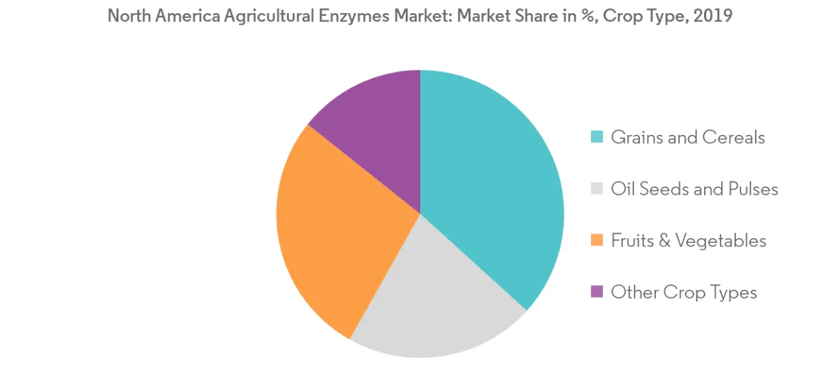 North America Agricultural Enzymes Market Trends North America Agricultural Enzymes Market Growth