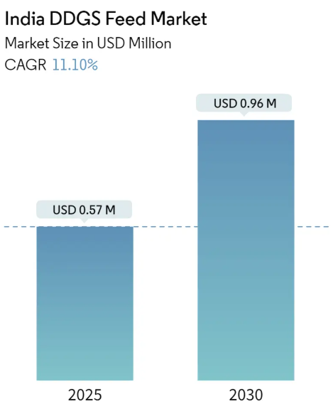 India DDGS Feed Market Summary