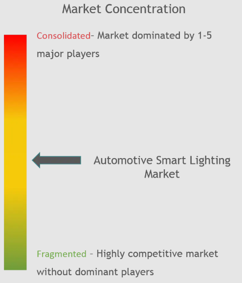 Osram Licht AG, HELLA KGaA Hueck & Co., Valeo Group, Koito Manufacturing Co., Ltd, Stanley Electric Co., Ltd.