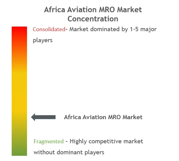 Africa Aviation MRO Market Concentration