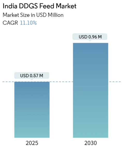 India DDGS Feed Market Summary