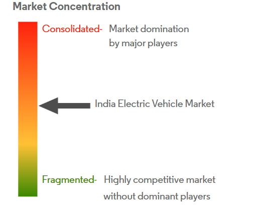 India Electric Vehicle Market Concentration