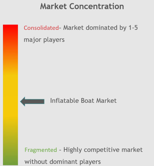 Inflatable Boat Market_Market Concentreation.png