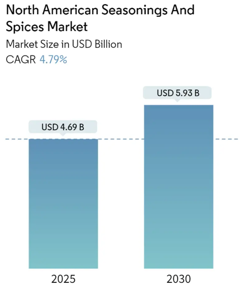 North American Seasonings And Spices Market Size North American Seasonings & Spices Market Summary