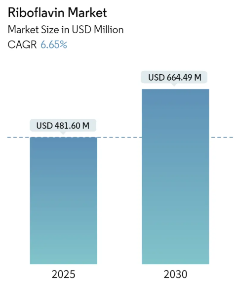 Riboflavin Market Summary