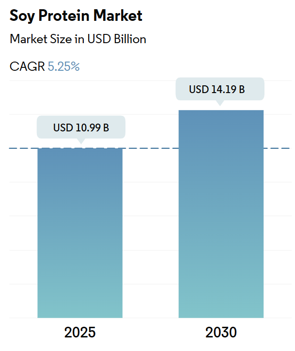 Soy Protein Market Summary