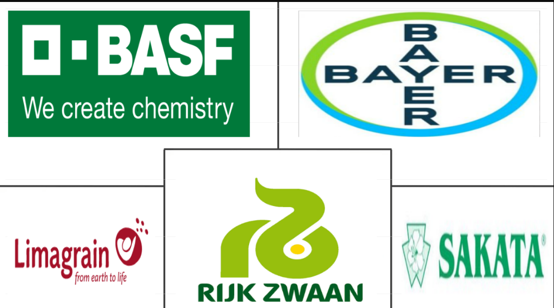 Vegetable Seed Market Major Players
