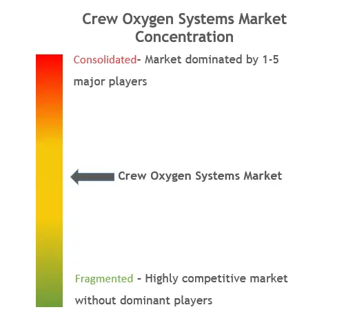 Crew Oxygen Systems Market Concentration
