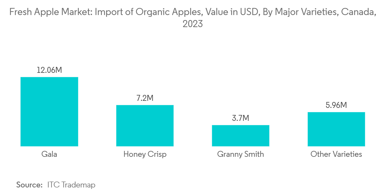 Fresh Apple Market Trends
