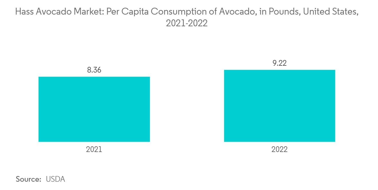 Global Hass Avocado Market Trends