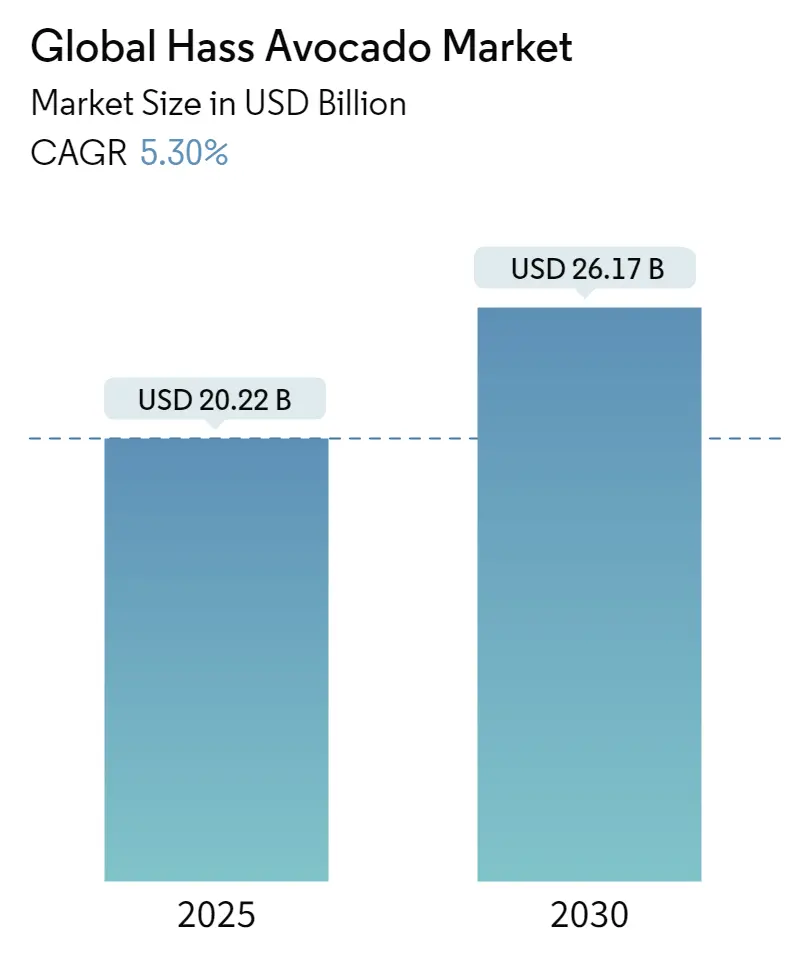 Global Hass Avocado Market Size